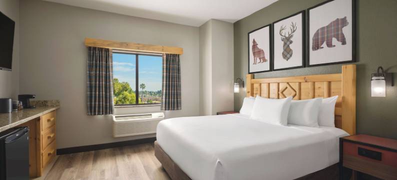 阿纳海姆大狼屋酒店(Great Wolf Lodge Southern California)图片