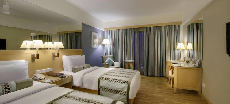 艾哈迈达巴德傲世广场酒店(Pride Plaza Hotel, Ahmedabad)图片