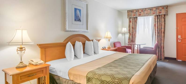 机场-坦帕RJ体育馆伊克诺旅馆(Econo Lodge Airport - RJ Stadium)图片