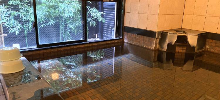 广岛新干线人工温泉二股汤之华格林里奇酒店(Green Rich Hotel Hiroshima Shinkansenguchi (Artificial Hot Spring Futamata Yunohana))图片
