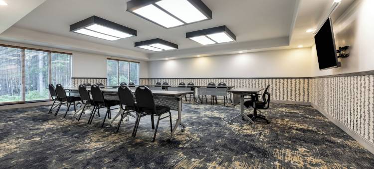 桑德贝戴斯套房酒店(Days Inn & Suites by Wyndham Thunder Bay)图片