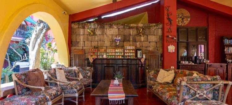 精选 O 卡波圣卢卡斯贝拉之家精品酒店(Collection O Casa Bella Hotel Boutique, Cabo San Lucas)图片