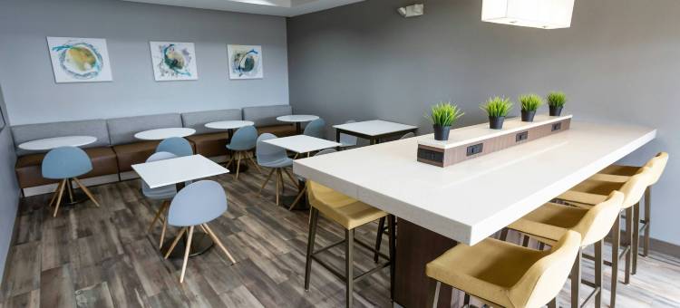 博林格林万豪TownePlace Suites酒店(TownePlace Suites Bowling Green)图片