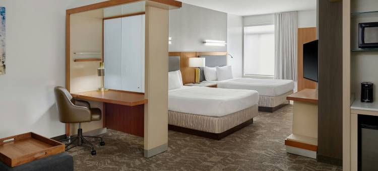 罗穆勒斯底特律都会机场万豪SpringHill酒店(SpringHill Suites Detroit Metro Airport Romulus)图片