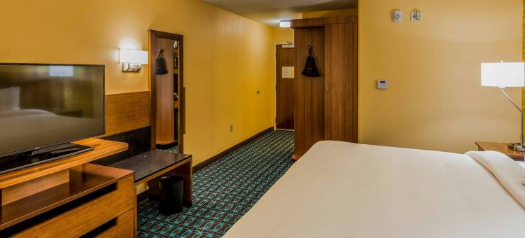 万枫亚特兰大费尔本酒店及套房(Fairfield Inn & Suites Atlanta Fairburn)图片