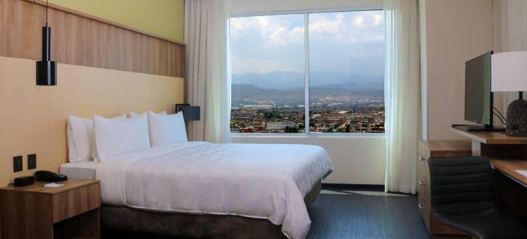Holiday Inn 圣路易斯波托西 - 堂吉诃德(Holiday Inn SAN LUIS POTOSI-QUIJOTE by IHG)图片