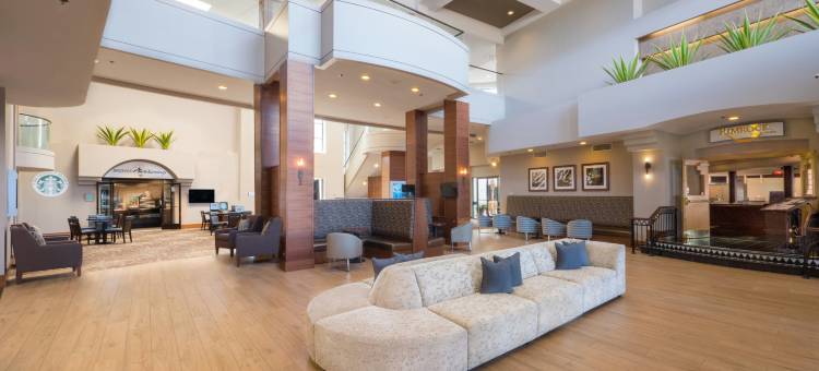凤凰城机场希尔顿酒店(Hilton Phoenix Airport)图片