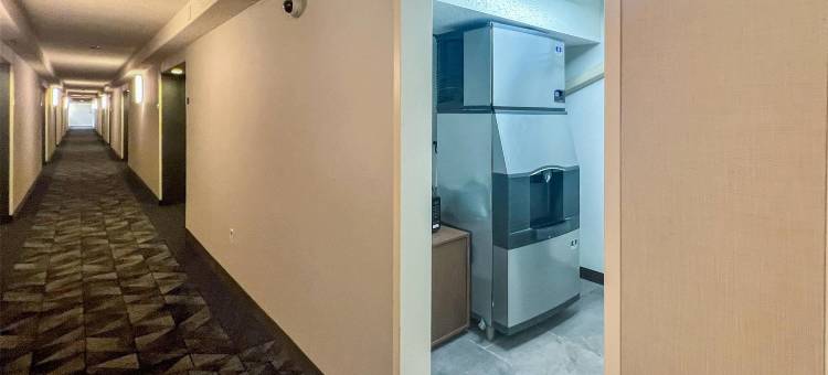 里奇兰-杰克逊北舒适酒店(Comfort Inn Jackson North - Ridgeland)图片