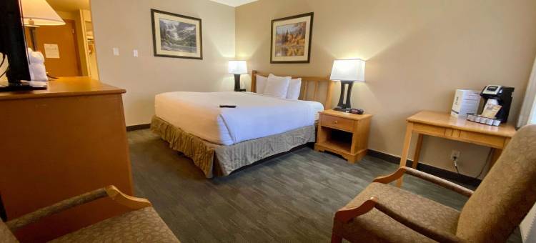 谢里登中心贝斯特韦斯特酒店(Best Western Sheridan Center)图片