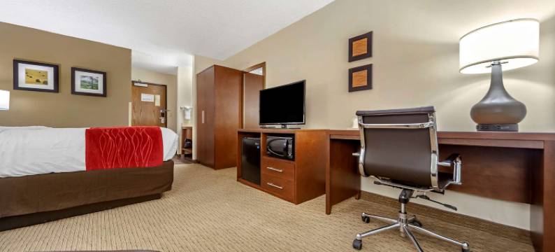 瓦伦廷舒适酒店(Comfort Inn)图片