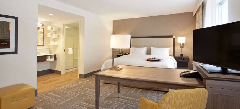 欢朋宾馆及套房酒店 - 明尼阿波利斯/市中心(Hampton Inn & Suites Minneapolis/Downtown)图片