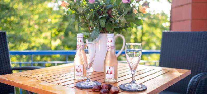 弗莱尔温泉酒店(Flair Hotel Zur Therme)图片