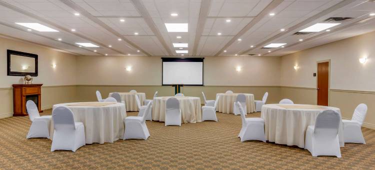 舒适套房酒店-千岛海港区(Comfort Inn & Suites Thousand Islands Harbour District)图片