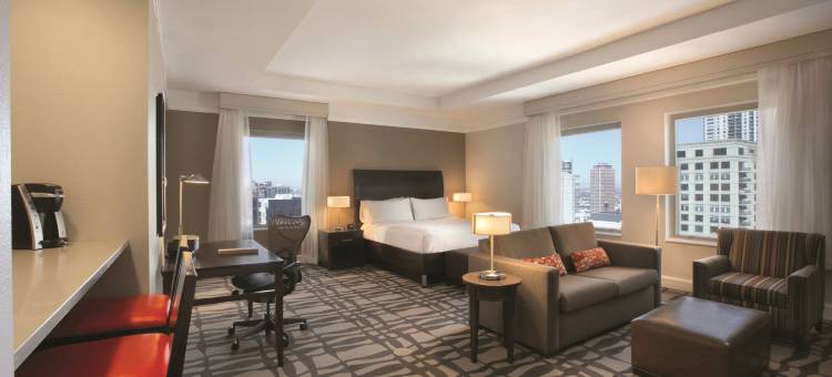 芝加哥市中心壮丽大道希尔顿花园酒店(Hilton Garden Inn Chicago Downtown/Magnificent Mile)图片