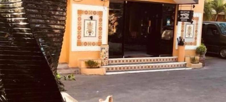 亚洲十号酒店(Asiaten Hotel)图片