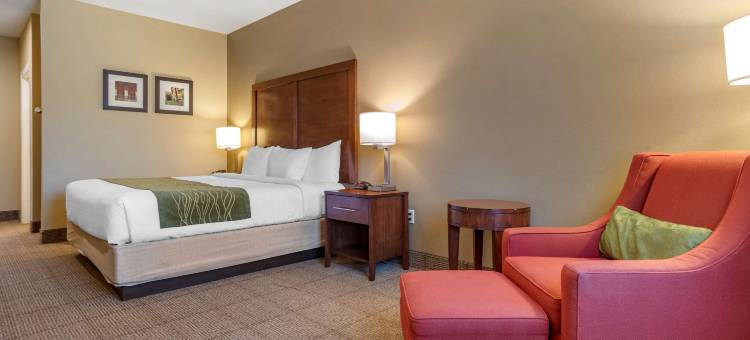 舒适酒店(Comfort Inn Amite)图片