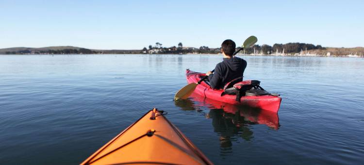 卡温顿M星酒店(M Star Hotel Covington)图片