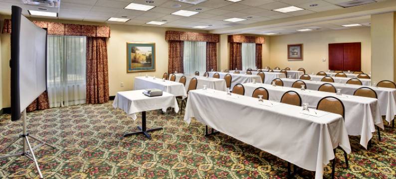 Holiday Inn & Suites 安阿伯大学密歇根地区(Holiday Inn & Suites ANN ARBOR UNIV. MICHIGAN AREA by IHG)图片