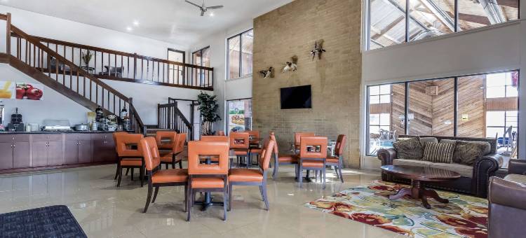 北斯图加特凯艺套房酒店(Quality Inn & Suites Stuttgart North)图片