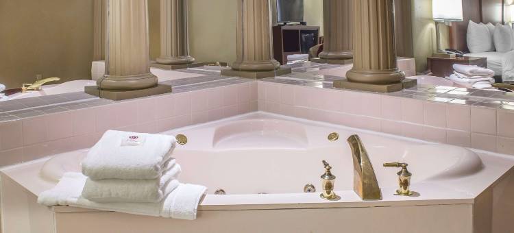 锡达拉皮兹北科林斯路舒适套房酒店(Comfort Inn & Suites Cedar Rapids North - Collins Road)图片