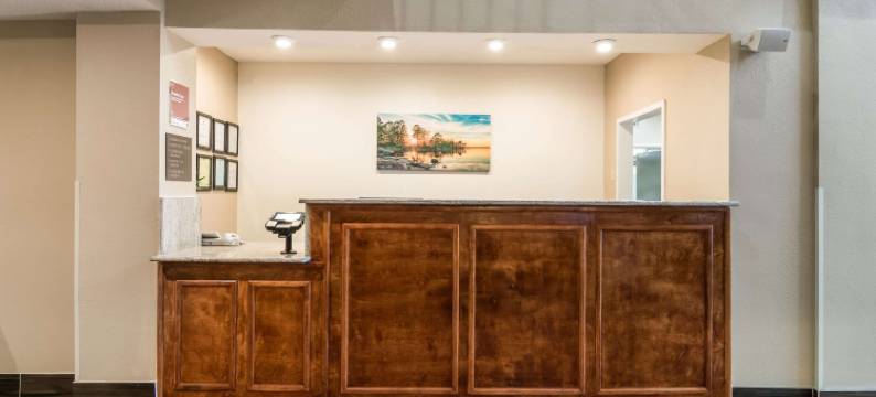 舒适套房酒店(Comfort Suites)图片