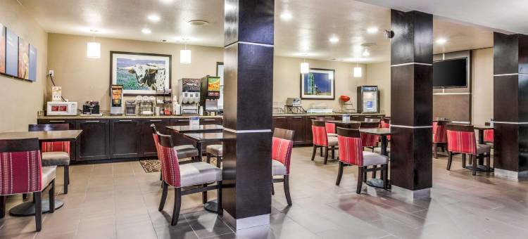 舒适酒店及套房-达拉斯市场中心(Comfort Inn & Suites Love Field-Dallas Market Center)图片