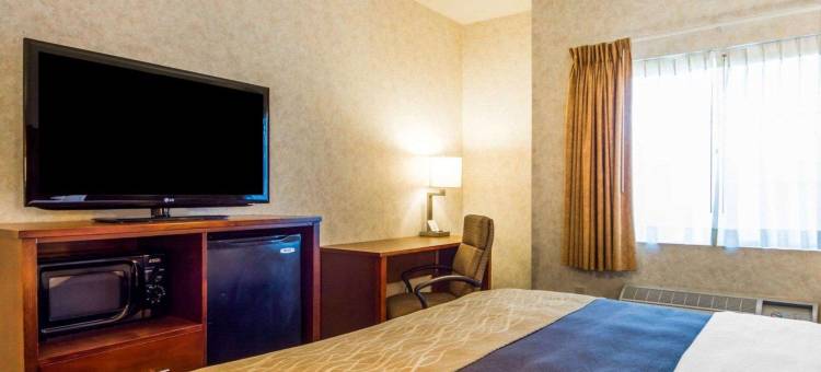 沃森维尔舒适酒店(Comfort Inn Watsonville)图片