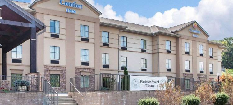 哈里曼舒适酒店(Comfort Inn)图片