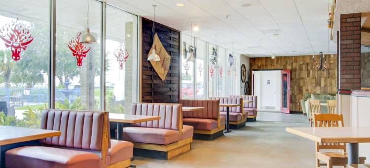 OYO邓迪水晶湖酒店(OYO Hotel Dundee by Crystal Lake)图片