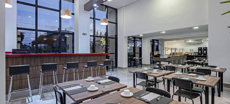 斯利姆瓜拉普阿瓦酒店(Slim Guarapuava)图片