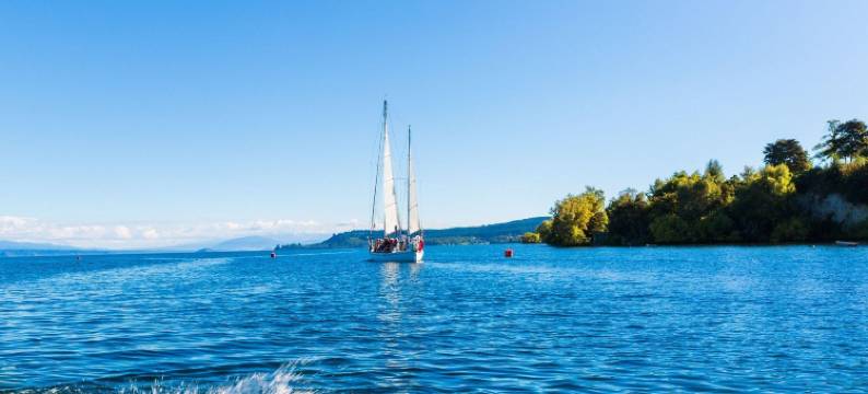 陶波美景汽车旅馆(Bella Vista Taupo)图片