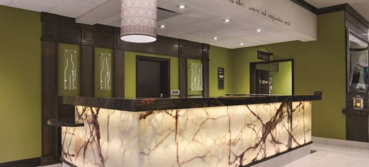 休斯顿西北希尔顿花园酒店(Hilton Garden Inn Houston NW/Willowbrook)图片