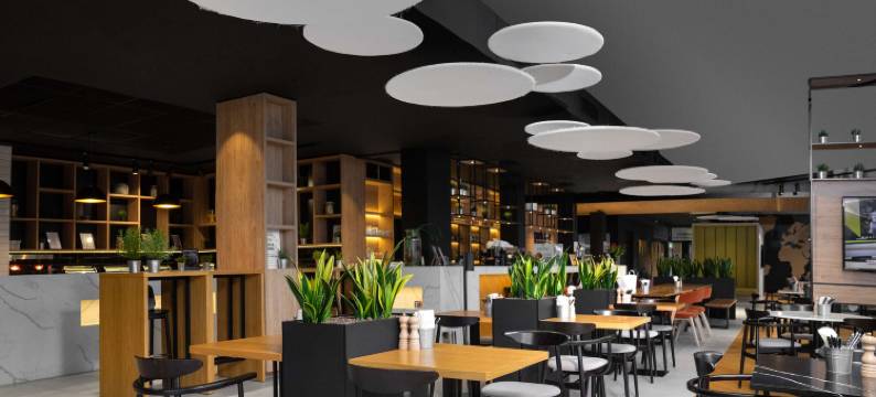 丽柏酒店维尔纽斯机场会议中心(Park Inn by Radisson Vilnius Airport)图片