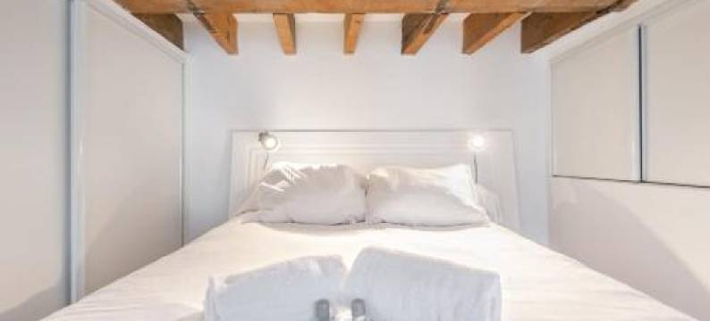 帕尔迪厄可爱阁楼酒店(Lovely Loft Part Dieu)图片