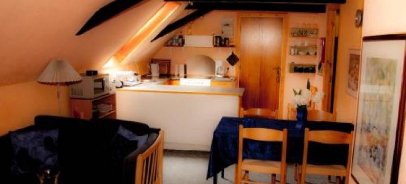 思科斯特普加德公寓酒店(Skelstrupgaard Apartments)图片