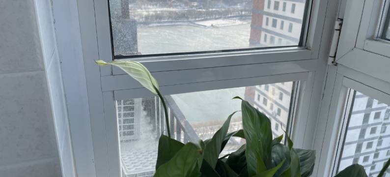 红大日租公寓(独立路1号分店)图片