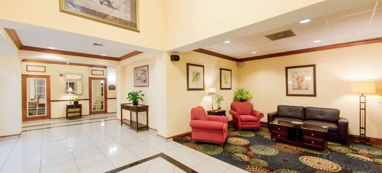 智选假日套房酒店坦帕展览会场娱乐场by IHG(Holiday Inn Express & Suites Tampa-Fairgrounds-Casino)图片