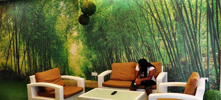 梦幻花园酒店(Dream Garden Hotel)图片