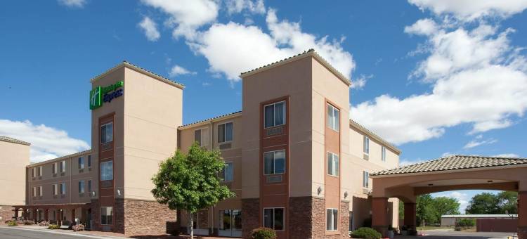 Holiday Inn Express 伯纳利欧(Holiday Inn Express Albuquerque N - Bernalillo)图片