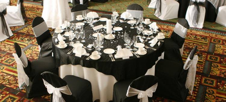 霍兰德希尔顿逸林酒店(DoubleTree by Hilton Hotel Holland)图片