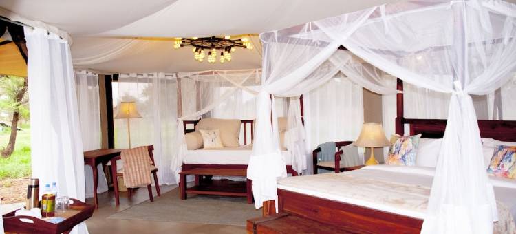 塞伦盖蒂豪华阵营非洲梦想(Suenos de Africa Luxury Camp Serengeti)图片