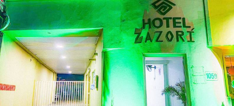扎佐里酒店(Hotel Zazori)图片