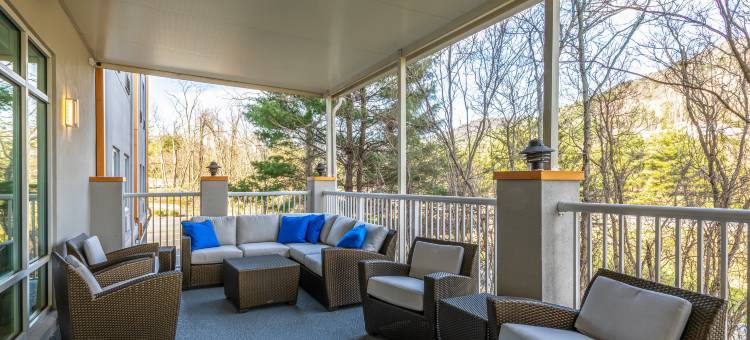 智选假日套房酒店阿什维尔闹市(Holiday Inn Express & Suites Asheville Downtown)图片