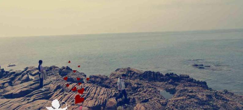 日照东方渔家图片