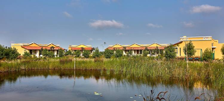 威拉瓦达尔黑羚野生动物园旅馆(Blackbuck Safari Lodge Velavadar)图片