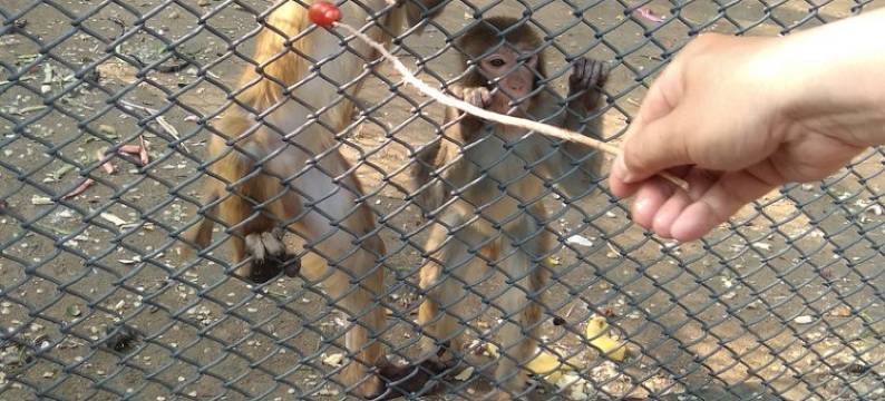 万科城精装河景公寓(南堤西路分店)图片