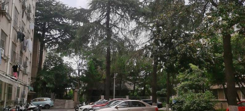 前程似锦T公寓(紫竹路分店)图片