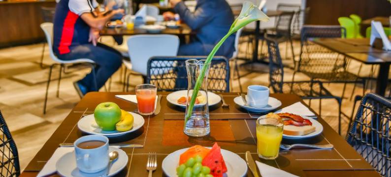 里贝朗普雷托温德姆花园酒店(Wyndham Garden Ribeirao Preto Convention)图片