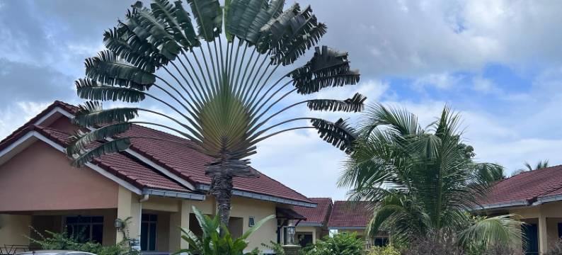 兰卡威新黎明酒店(New Dawn for Langkawi)图片