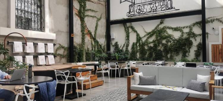 康德萨MX酒店(Hotel MX condesa)图片